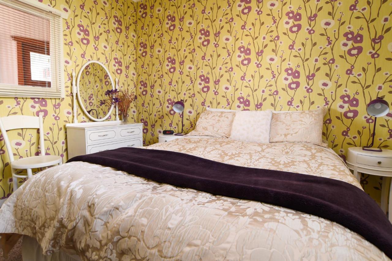 Sunny Mornington 2 Bedroom Guest Suite Dunedin Exteriér fotografie